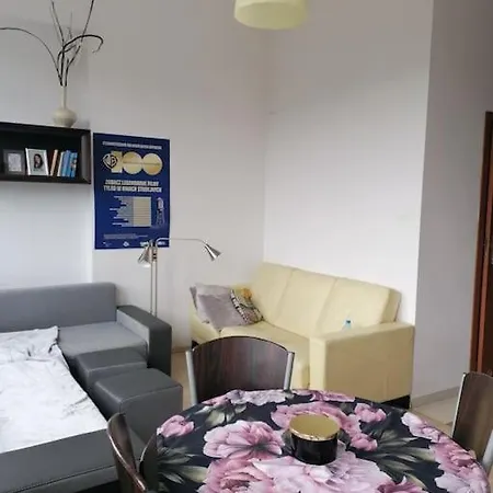 Apartamento Przy Parku Klimatyzacja Parking Wifi *