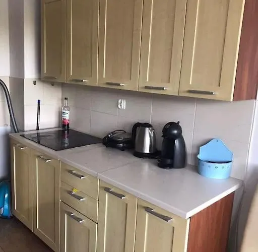 Apartament Przy Parku Klimatyzacja Parking Wifi *