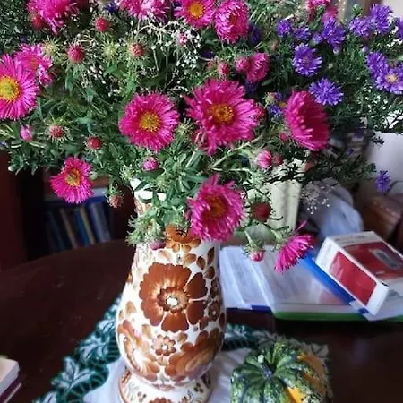 Przy Parku Klimatyzacja Parking Wifi דירה ורוצלב