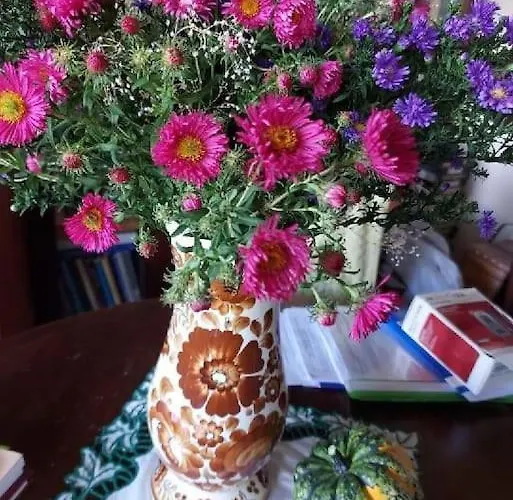 Przy Parku Klimatyzacja Parking Wifi דירה ורוצלב